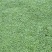 马蹄金草坪