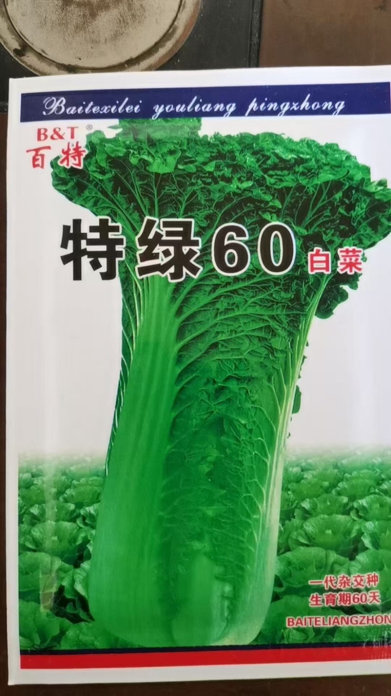 天津青麻叶白菜种子青口白白种子竹筒白菜种子竹筒青白菜种子