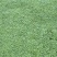 马蹄金草坪