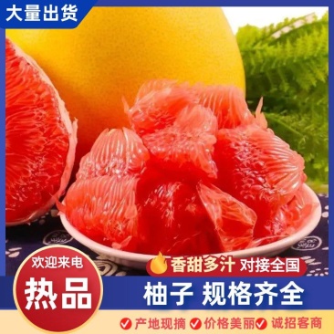 【蜜柚】优质柚子万亩果园现摘现发蜜柚红柚沙田柚三红柚