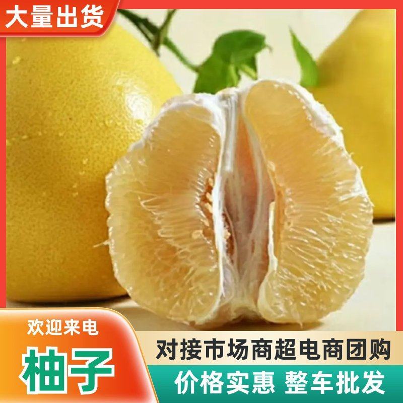 湖北宜昌三红柚沙田柚红柚蜜柚品种齐全果园看货谈价