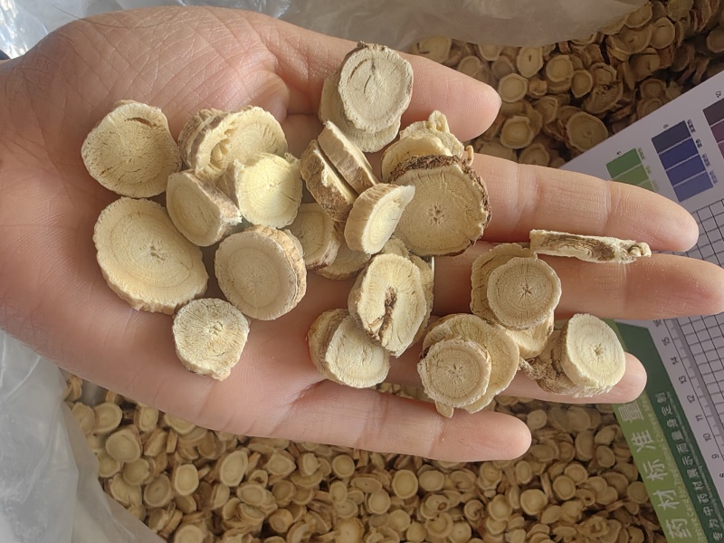 黄芪1.2以上精选圆片产地批发量大从优品质保证