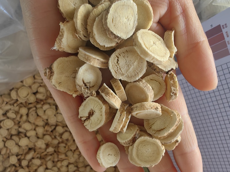 黄芪1.2以上精选圆片产地批发量大从优品质保证