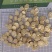 黄芪1.2以上精选圆片产地批发量大从优品质保证