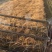 新米稻花香二号大米，稻子需要的联系保质保量支持视频看货