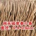 党参条中药材党参段甘肃岷县道地药材货真价实批发零售