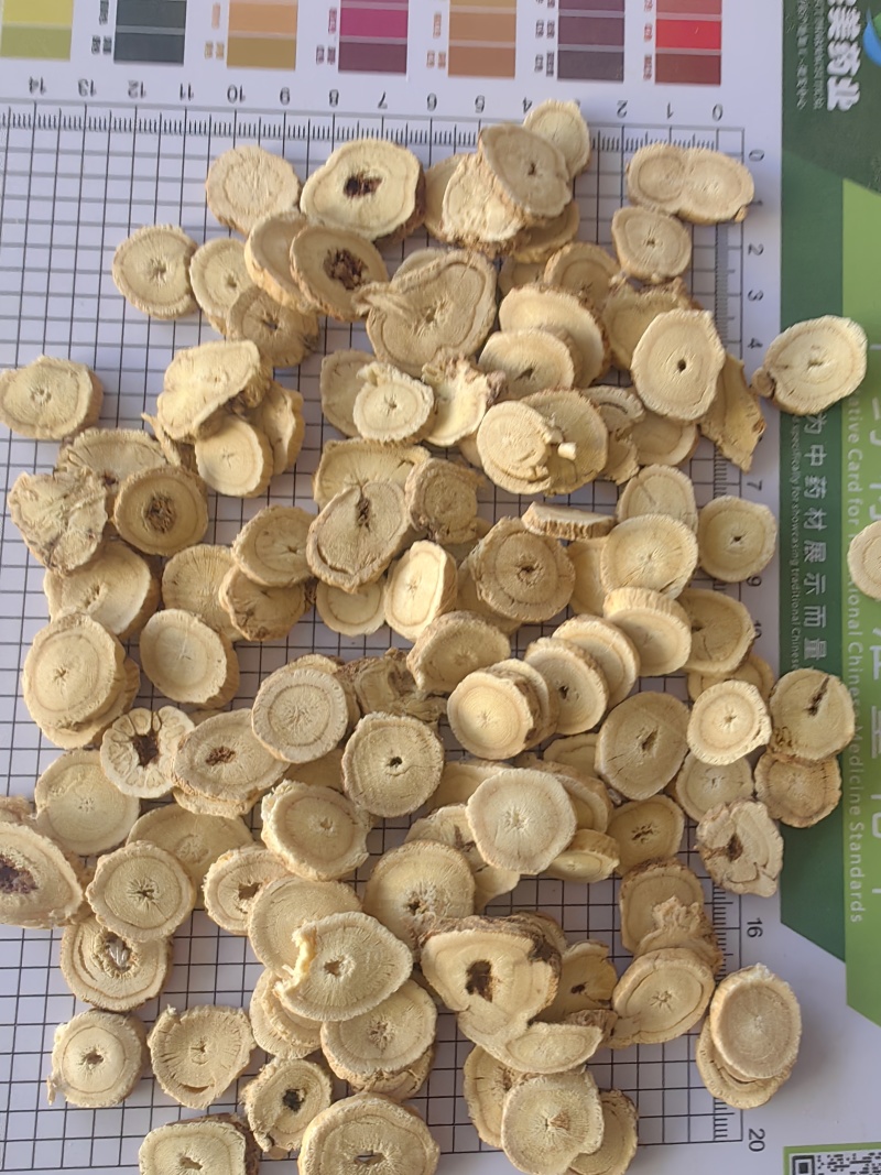 黄芪1.2及1.5以上野生大圆片，量大从优品质保证
