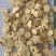 黄芪1.2及1.5以上野生大圆片，量大从优品质保证