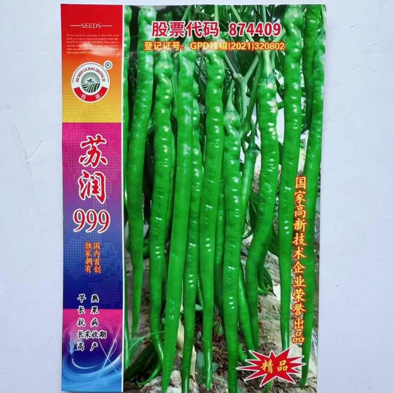 苏润999辣椒种子早熟线椒种子特长果绿色条椒高产顺