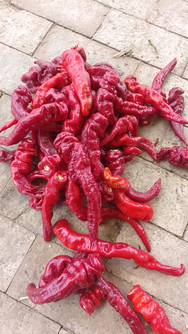酱厂鲜辣椒