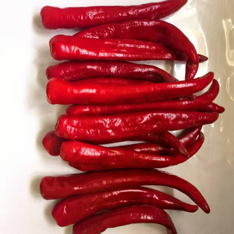 酱厂鲜辣椒