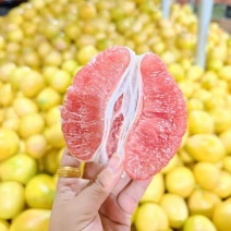 湖北精品红心柚产地直发一手货源质量保证全国发货