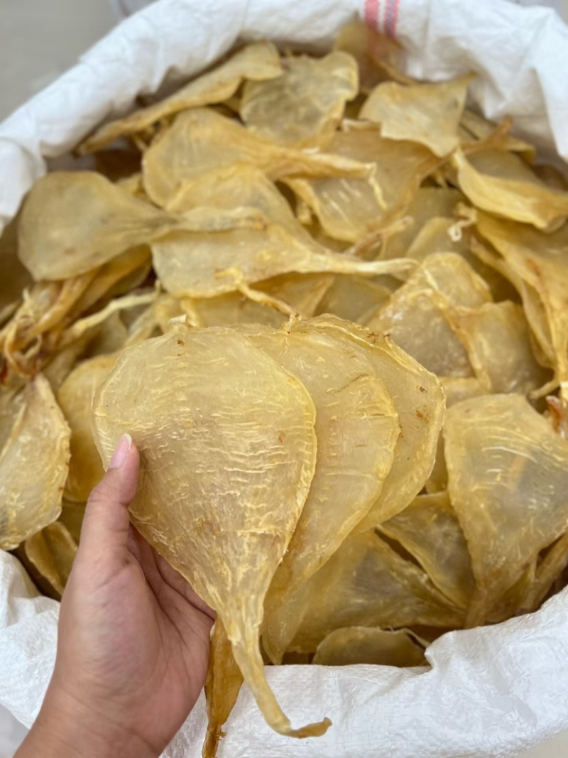 缅甸斗湖胶柔肉斗湖胶鳘鱼胶深海鱼胶花胶月子滋补品