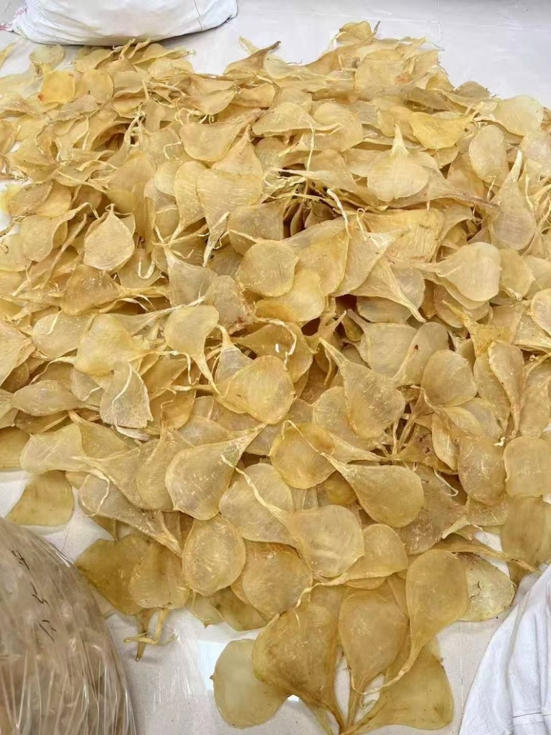 缅甸斗湖胶柔肉斗湖胶鳘鱼胶深海鱼胶花胶月子滋补品