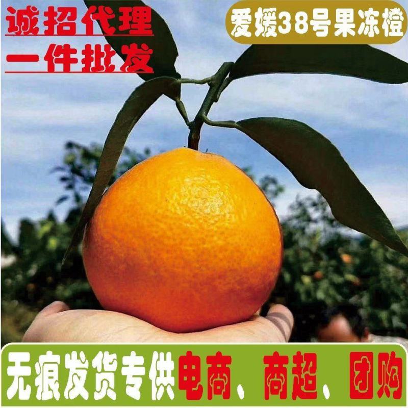 四川爱媛橙高次果小果商超果支持各平台一件代发