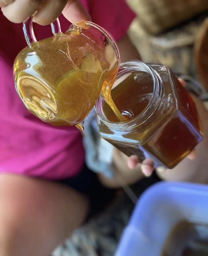 版纳野生蜂蜜