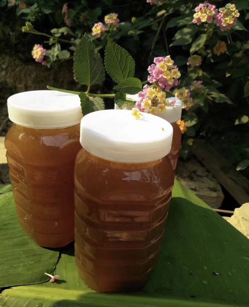版纳野生蜂蜜
