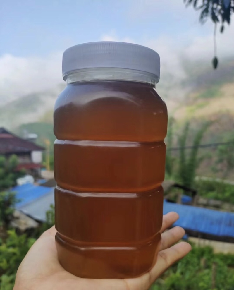 版纳野生蜂蜜