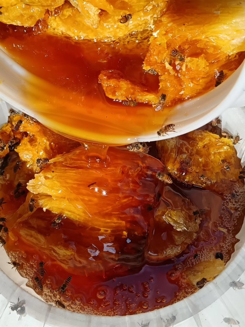 版纳野生蜂蜜