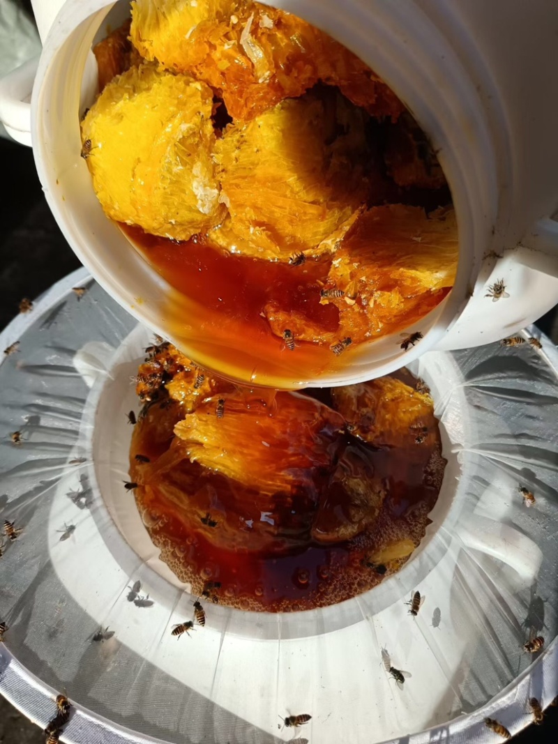 版纳野生蜂蜜