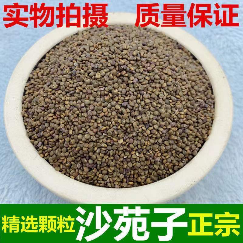 正宗沙苑子无硫野生正品沙苑子诚信经营，合作共赢