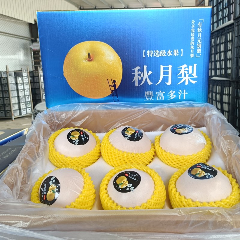 正宗秋月梨