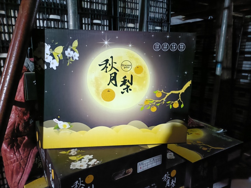 正宗秋月梨