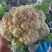 山东聊城精品有机菜花大量上市