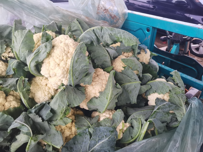 山东聊城精品有机菜花大量上市