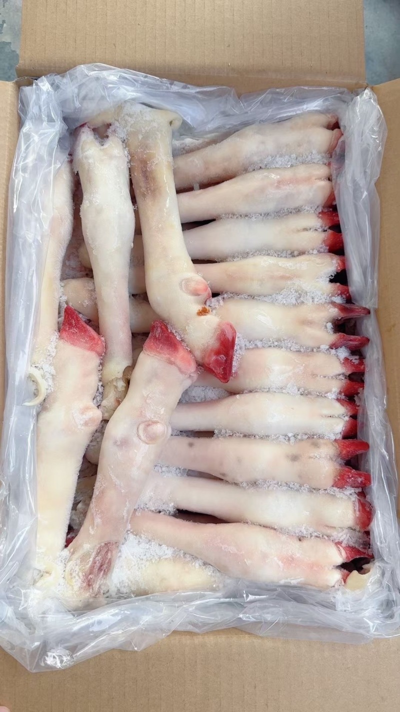 白羊蹄