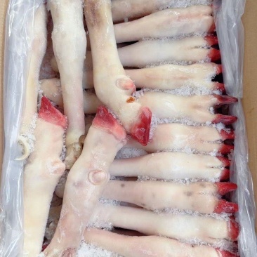 白羊蹄