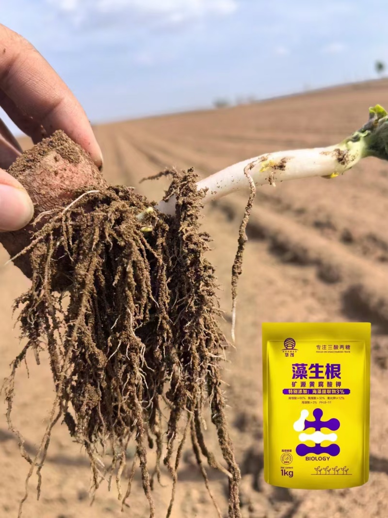 华茂农业集团——藻生根添加海藻的矿源黄腐酸钾