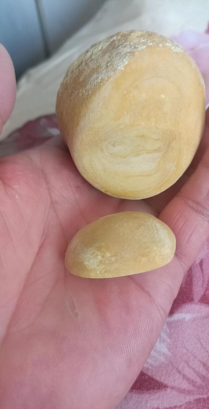 狗宝