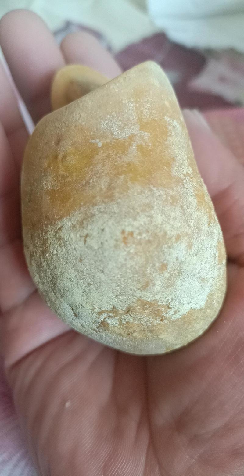 狗宝