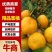 【热卖】蜜橘湖南蜜橘产地供应对接全国量大从优质量