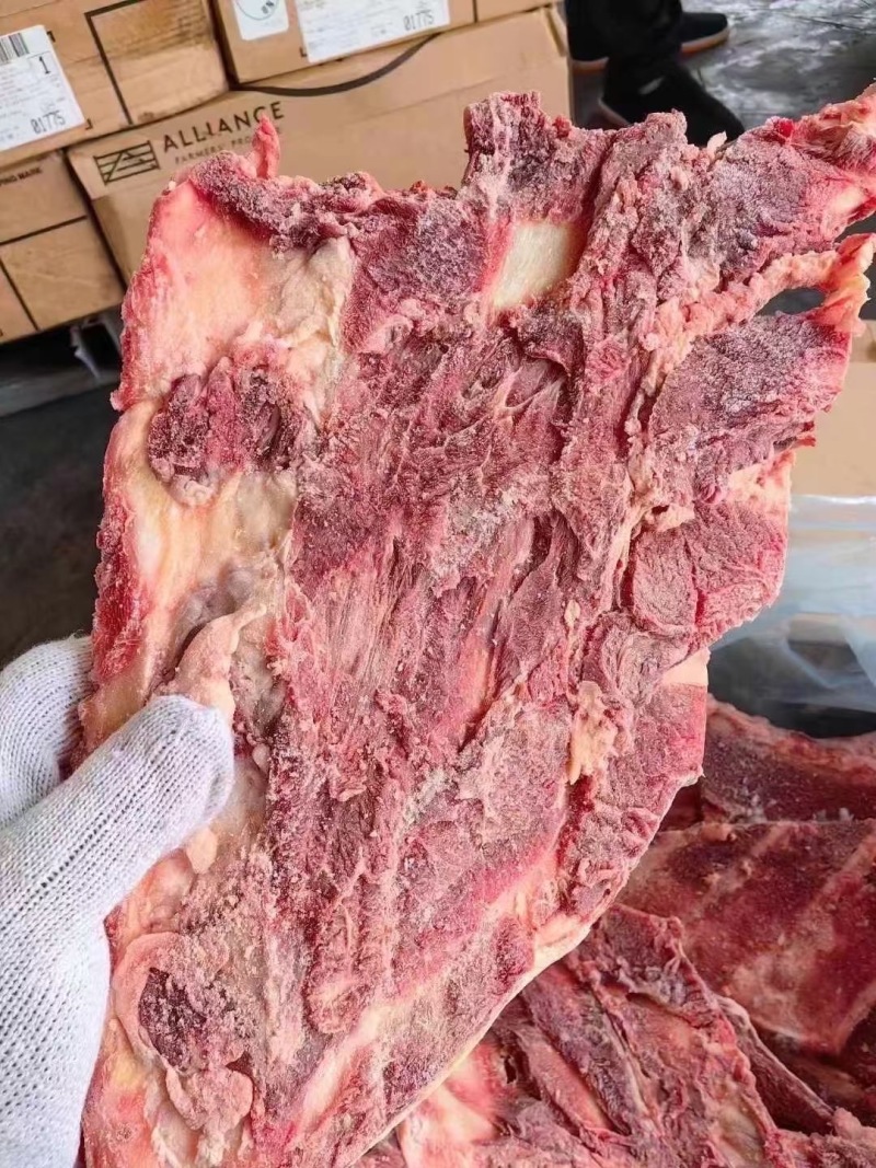 牛羽骨
