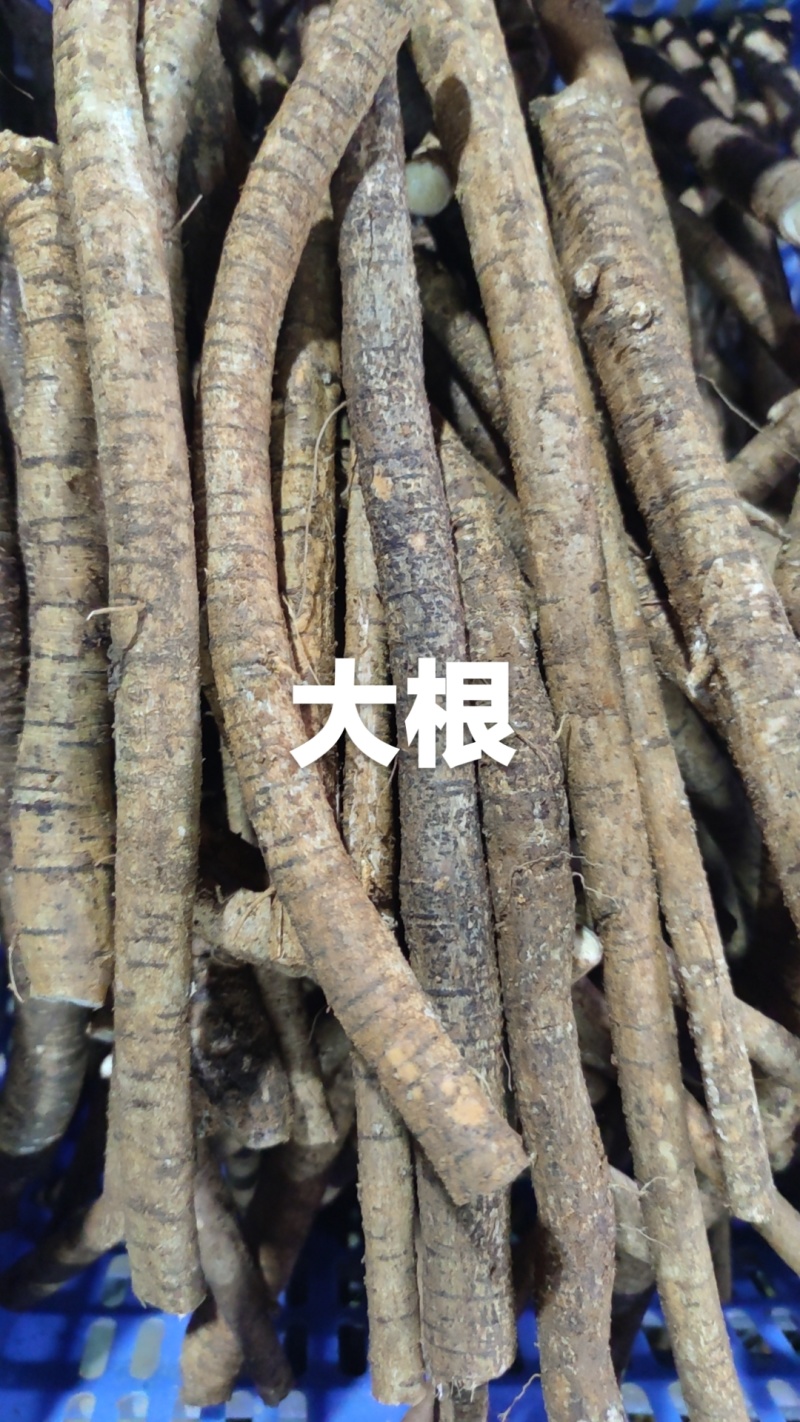 15年牛大力