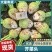 山西文水县芥菜头，地头现挖，新鲜直达，口感爽脆