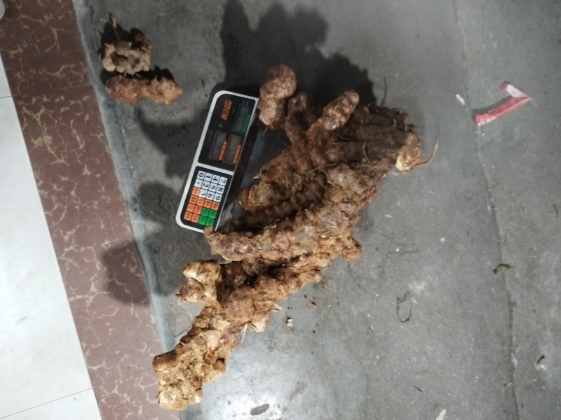 产地：广西贺州世界长寿市。产品：粉质。天然晒干野生土茯苓