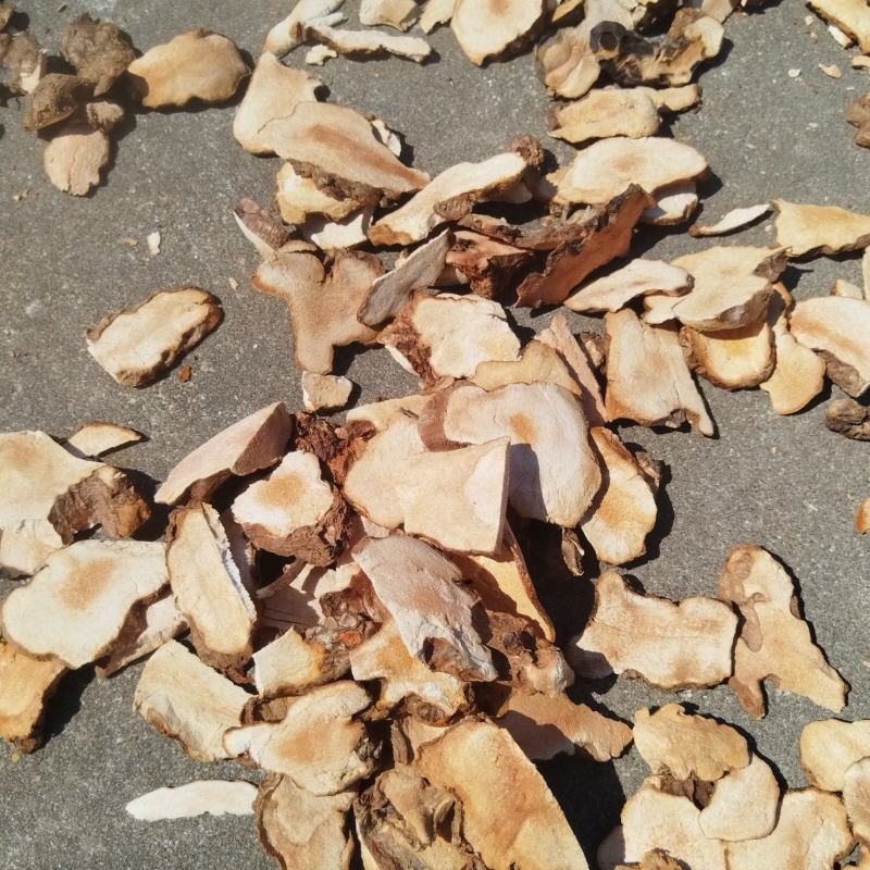 产地：广西贺州世界长寿市。产品：粉质。天然晒干野生土茯苓