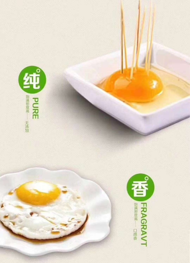 高品质土鸡蛋，360枚一件，鸡场发货，支持长期合作