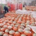 小蜜25号哈蜜瓜晓蜜25号产地量大看棚定货整车发货糖度高