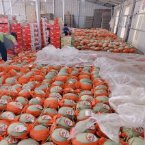 小蜜25号哈蜜瓜晓蜜25号产地量大看棚定货整车发货糖度高