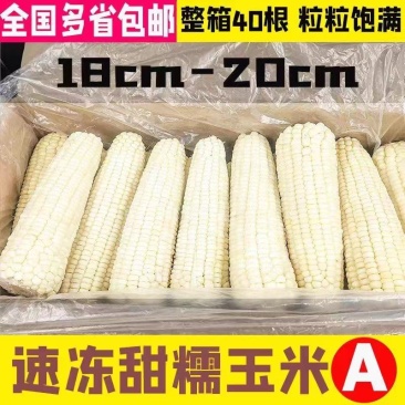 东北速冻大白糯玉米