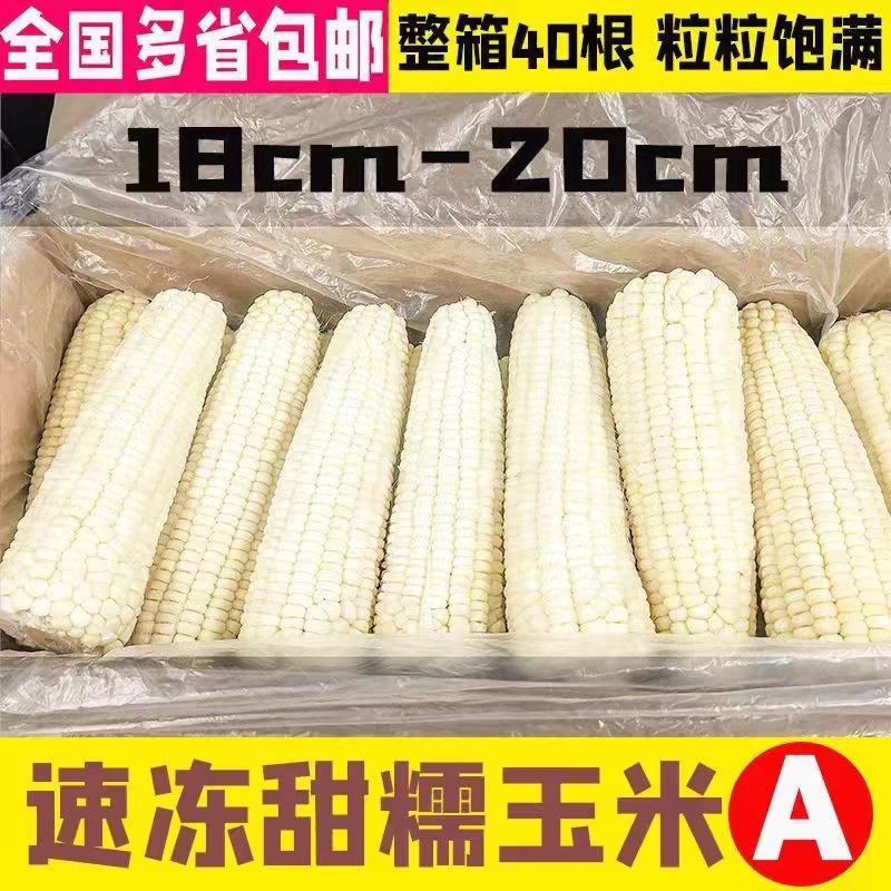 东北速冻大白糯玉米