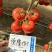 欧兰德西红柿种子德隆1917粉红果番茄种籽大果硬果亮度好