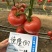欧兰德西红柿种子德隆1917粉红果番茄种籽大果硬果亮度好