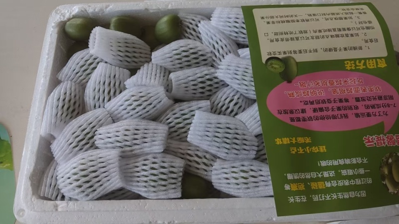 软枣猕猴桃现摘现发挂在树上可视频看货软果糖度23