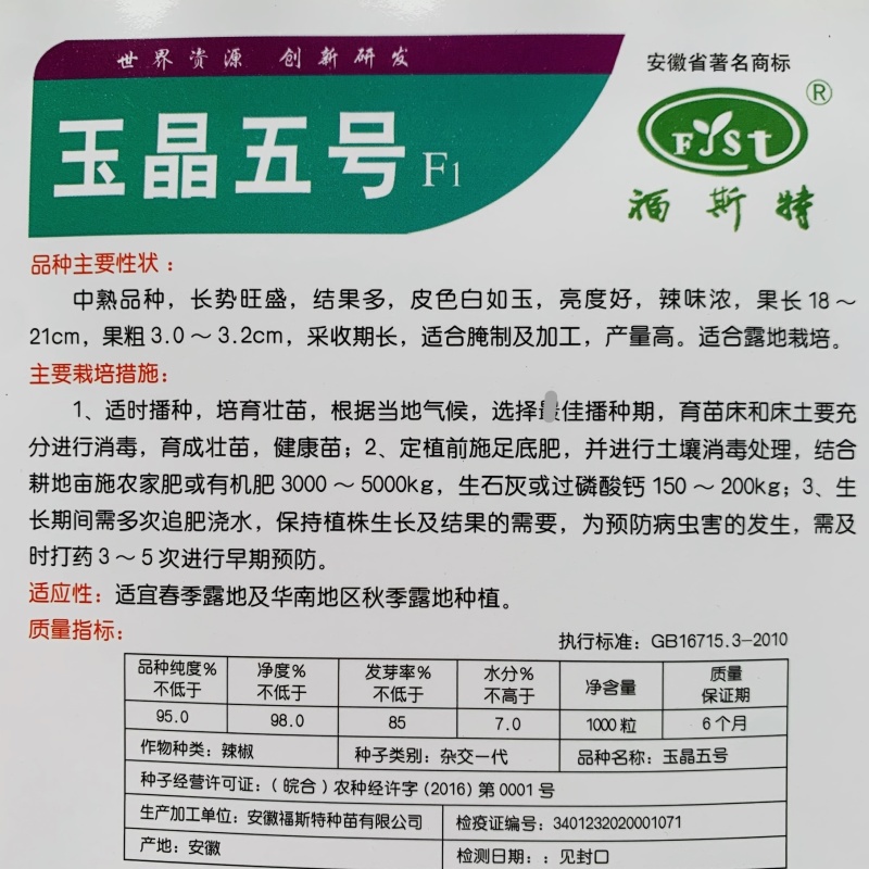 玉晶五号辣椒种子腌制加工泡椒种子白玉辣椒种籽中辣结果多