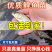 鲤鱼鱼苗大型养殖场养殖业对接云贵川陕西湖南湖北